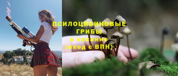 дживик Вязники